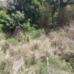 Terreno à venda em Campo Grande, Rio de Janeiro, RJ
