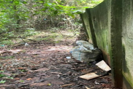 Terreno à venda em Jardim Ampliação, São Paulo, SP