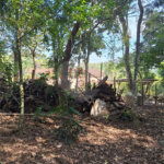 Chácara à venda ou para alugar com 3 quartos, sendo 1 suíte,  em Parque Residencial Itapeti, Mogi das Cruzes, SP