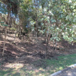 Terreno à venda em Horto, São Paulo, SP