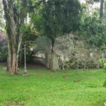 Casa à venda com 4 suítes no condomínio Jardim da Montanha I, Mairiporã - SP