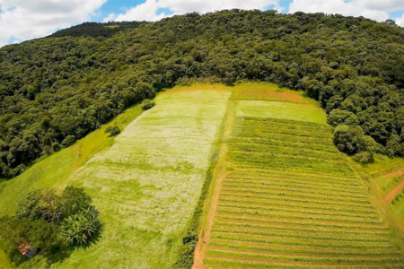 Terreno à venda em Gabriel Piza, São Roque, SP