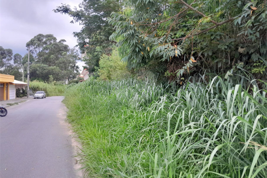 Terreno à venda em Serra da Cantareira, Mairiporã, SP