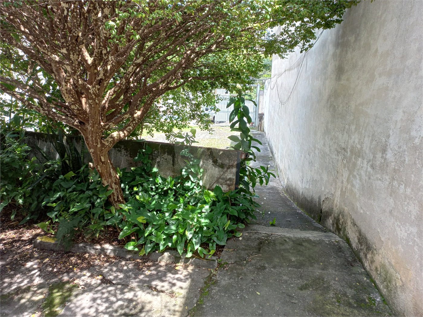 Terreno à venda em Tucuruvi, São Paulo, SP