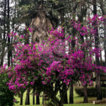 Chácara à venda com 5 quartos, sendo 2 suítes, em Taiaçupeba, Mogi das Cruzes, SP