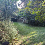 Terreno à venda em Tucuruvi, São Paulo, SP