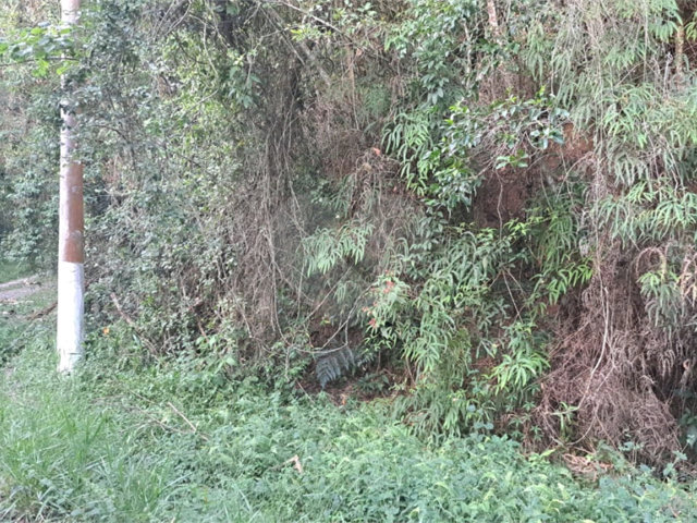 Terreno à venda no condomínio Associação Reserva das Hortênsias, Mairiporã - SP