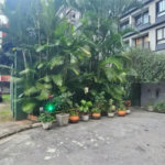 Terreno à venda em Sumarezinho, São Paulo, SP