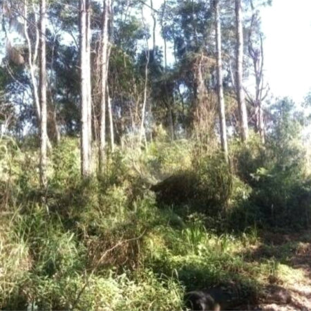 Terreno à venda em Estância Angelina, Suzano, SP