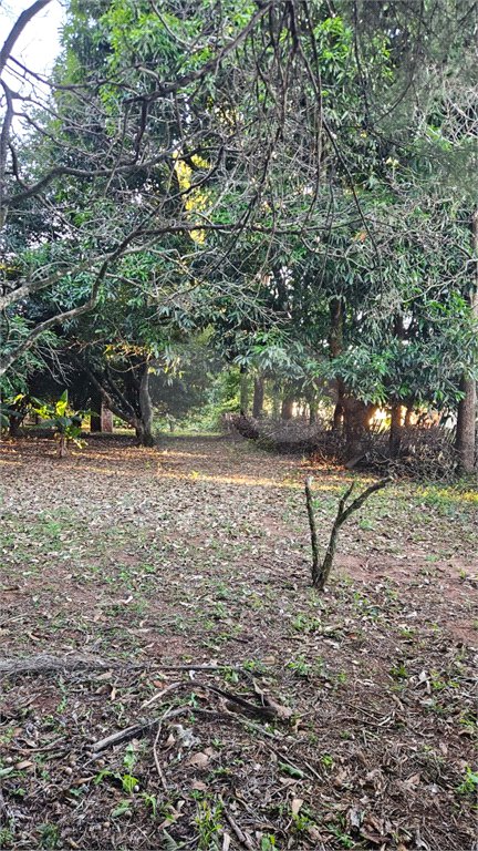 Terreno à venda em Jardim dos Estados, Ponta Porã, MS