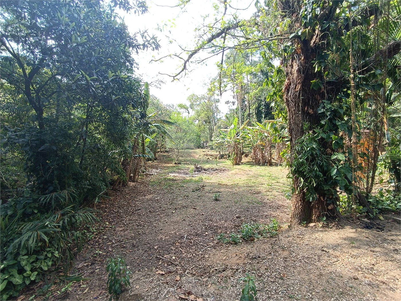 Chácara à venda com 4 quartos em Jardim Guaçu, São Roque, SP