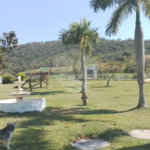 Sítio à venda com 4 quartos, sendo 3 suítes, em Caxito, Maricá, RJ