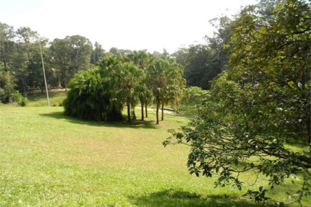 Apartamento para alugar com 4 quartos em Jardim Colombo, São Paulo, SP