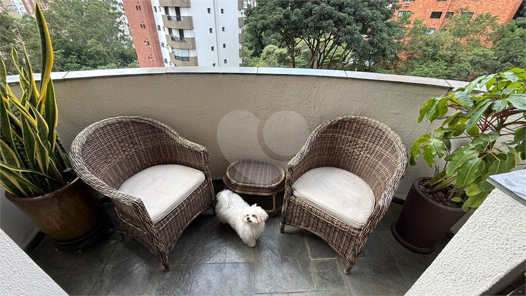 Apartamento à venda com 3 quartos, sendo 1 suíte, em Vila Suzana, São Paulo, SP