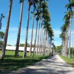 Apartamento para alugar com 1 suíte em Parque Residencial Aquarius, São José dos Campos, SP