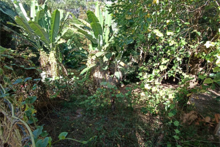 Casa à venda com 5 quartos, sendo 1 suíte, em Jardim Itália, Itapetininga, SP