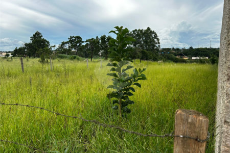 Terreno à venda em Vila Rubens, Itapetininga, SP