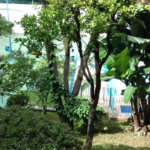 Apartamento à venda com 2 quartos em Vila Mazzei, São Paulo, SP