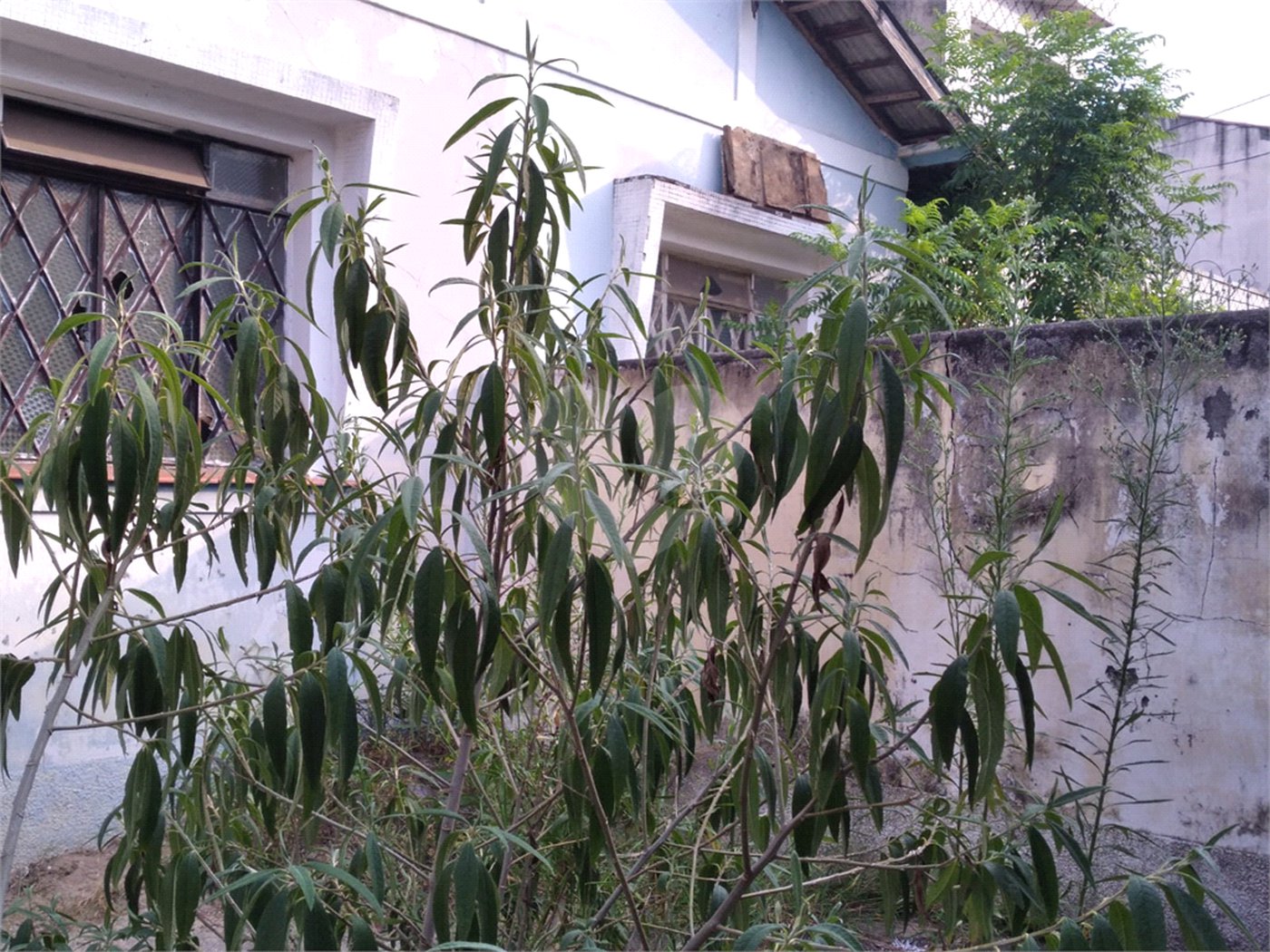Terreno à venda em Vila Nivi, São Paulo, SP