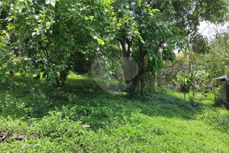 Chácara à venda com 2 quartos em Vila Caputera, Mogi das Cruzes, SP