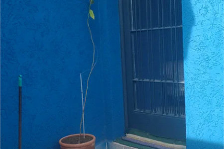 Sobrado à venda com 5 quartos, sendo 2 suítes, em Rio Pequeno, São Paulo, SP