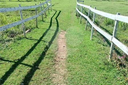 Sítio à venda com 2 quartos em Área Rural de Lagoinha, Lagoinha, SP