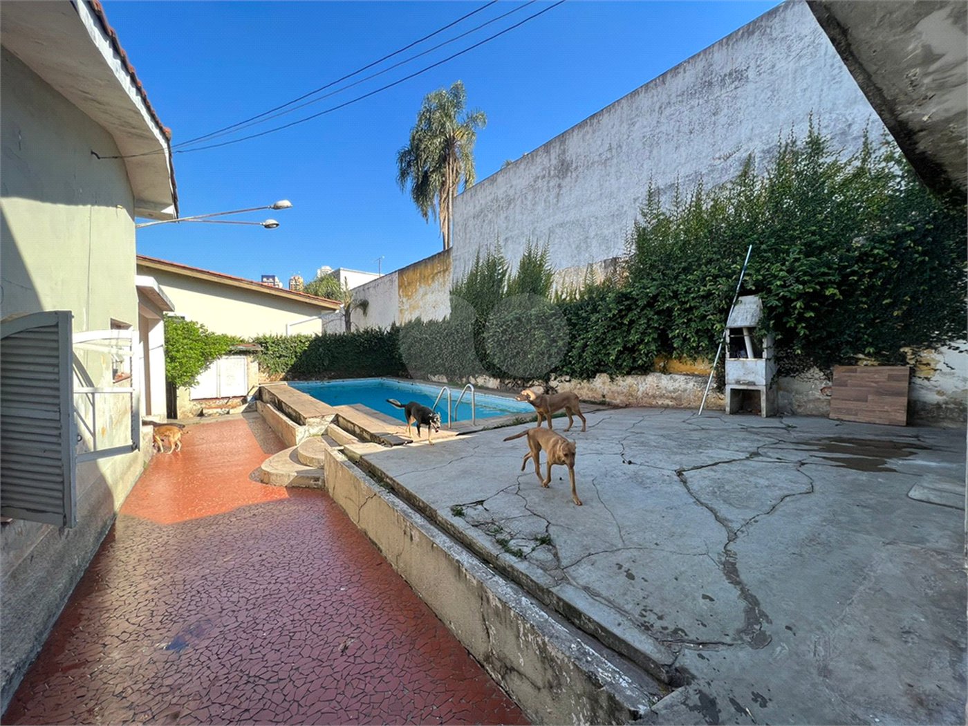 Casa à venda com 4 quartos, sendo 1 suíte,  em Jardim Colombo, São Paulo, SP