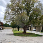 Casa para alugar com 3 quartos, sendo 1 suíte,  em Jardim dos Pinheiros, Atibaia, SP