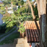 Casa Térrea à venda com 4 quartos, sendo 1 suíte, em Vila Albertina, São Paulo, SP