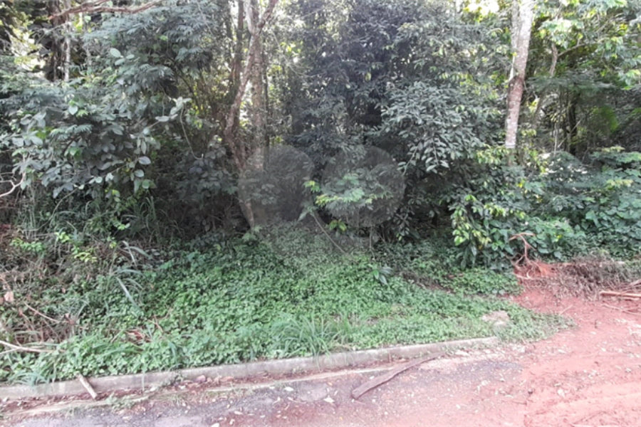 Terreno à venda em Roseira, Mairiporã, SP