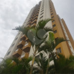Apartamento à venda com 2 quartos em Vila Medeiros, São Paulo, SP