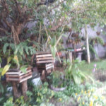 Casa à venda com 3 quartos, sendo 1 suíte, no Centro, Indaiatuba, SP