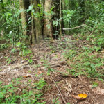 Terreno à venda em Caraguatá, Mairiporã, SP