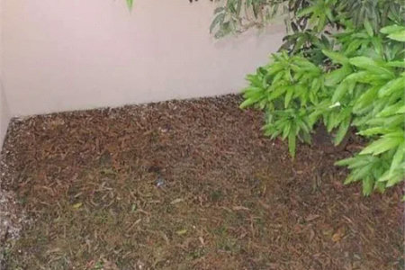 Sobrado à venda com 4 quartos em Vila Ipojuca, São Paulo, SP