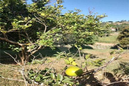 Chácara à venda com 4 quartos, sendo 1 suíte, em Chácaras Fernão Dias, Atibaia, SP