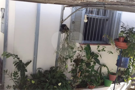 Terreno à venda em Santa Teresinha, São Paulo, SP