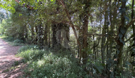 Terreno à venda em Serra da Cantareira, Mairiporã, SP