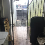 Casa Térrea à venda com 2 quartos em Vila Gustavo, São Paulo, SP