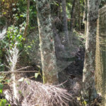 Condomínio à venda em Serra da Cantareira, Mairiporã, SP