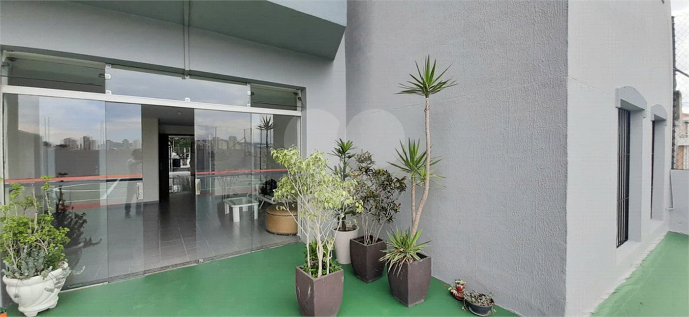 Apartamento à venda com 3 quartos em Vila Guilherme, São Paulo, SP