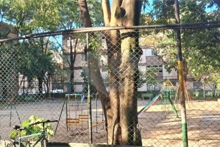 Apartamento à venda com 2 quartos em Parque Residencial da Lapa, São Paulo, SP