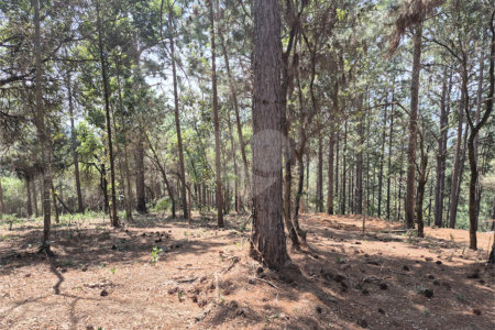Casa em condomínio à venda em Parque Fernão Dias, Atibaia, SP