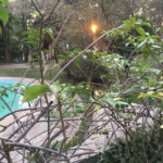 Apartamento à venda com 4 suítes em Vila Suzana, São Paulo, SP