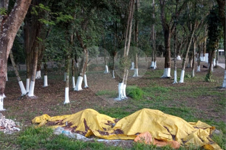 Sítio à venda com 2 quartos em Mogi das Cruzes, SP