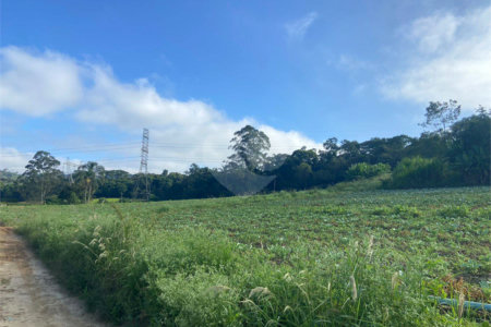 Terreno à venda com 5 quartos, sendo 4 suítes, em Vila Aparecida, Suzano, SP