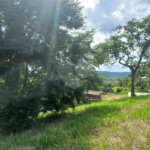 Terreno à venda em Parque dos Cafezais IV, Itupeva, SP