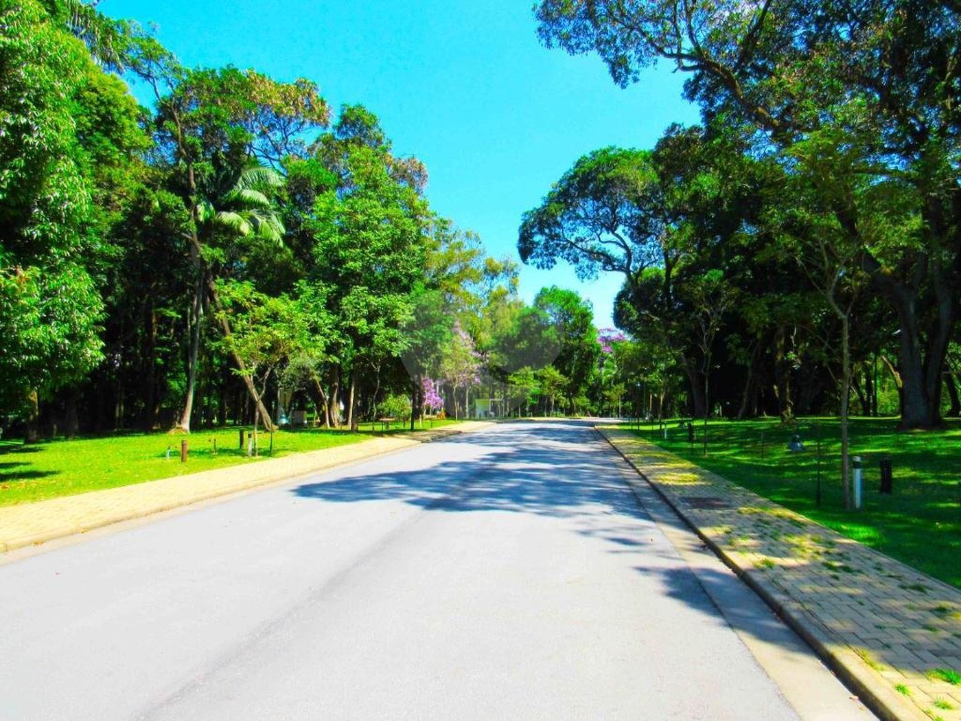 Loteamento à venda em Alto da Boa Vista, São Paulo, SP