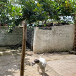 Sitio para venda.