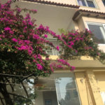 Casa à venda com 5 quartos, sendo 4 suítes, no condomínio Jardim Vitória Régia, São Paulo - SP