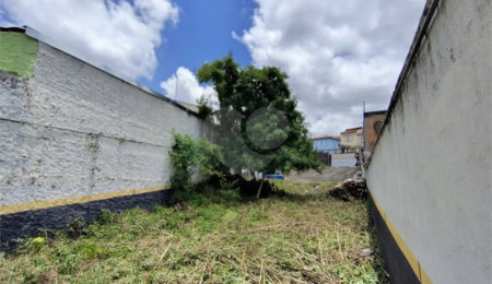 Terreno à venda em Tucuruvi, São Paulo, SP